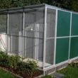 voli&egrave;re in geanodisseerd alu met groen/wit trespa