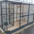 Voli&egrave;re in antraciet alu b306xd157xh200cm met morsranden en  sluis