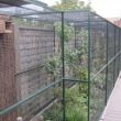 Voli&egrave;re in groen aluminium met zwarte draad 13x13mm