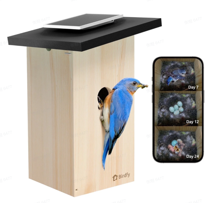 Nestkast met camera